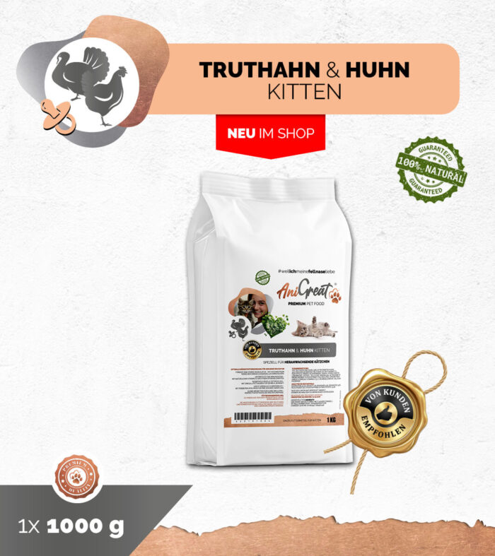 Truthahn & Huhn KITTEN – Bild 1
