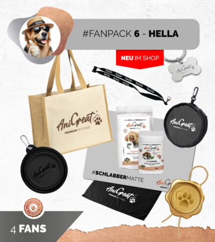#FANPACK 6 - HELLA