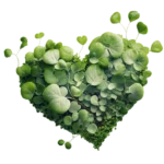 Icône de cœur vert symbolisant l'engagement AniGreat pour une alimentation animale naturelle, responsable et respectueuse de l’environnement.