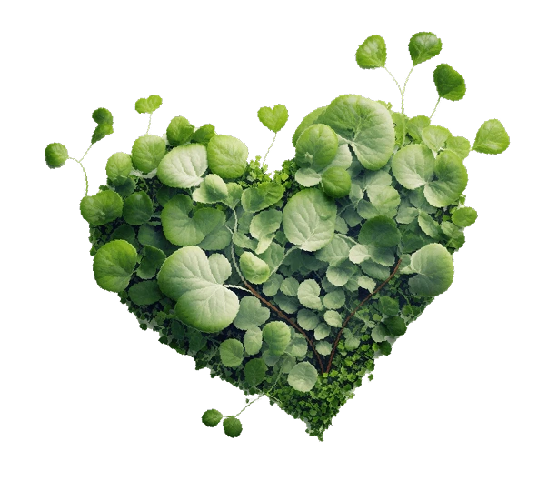 Icône de cœur vert symbolisant l'engagement AniGreat pour une alimentation animale naturelle, responsable et respectueuse de l’environnement.