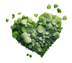 Icône de cœur vert symbolisant l'engagement AniGreat pour une alimentation animale naturelle, responsable et respectueuse de l’environnement.